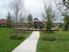 Arbor Ridge Apopka Florida playground
      Call Rick Belben at (407) 341-1706 for more information