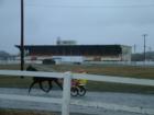 Bass Park in Bangor With Trotter.