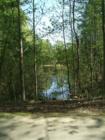 This pond is part of the common area for homeowners' in the Highland Woods section of Carolina Trace in Sanford, NC