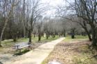 Visit one of the many beautiful parks in Fair Haven, New Jersey!
      (C) 07 Jane Haas