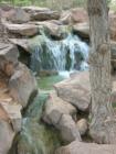 UNM Duck Pond Waterfall