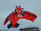 Madison's Lake Mendota is host to Kites on Ice - "da plane!" (courtesy saketj)