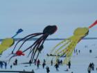 Giant Squid Attack Madison, Wisconsin - only during Kites on Ice