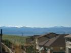 Firelight ~ Highlands Ranch ~ View from Homes Back to Open Space in Firelight
