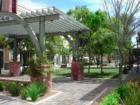 Relax in the park
