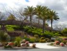 Red Rock Country Club landscaping