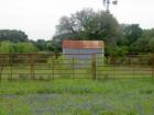 MetalBarn and Bluebonnets in Round Rock