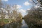 The Red Cedar River runs through the center of the MSU campus.