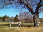 New Castle NH - one of the many benches in Great Island Common that looks out over the Atlantic Ocean and the mouth of Portsmouth Harbor - a great spot to watch river traffic from!