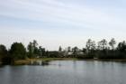Lake Woodlands located in the Woodlands Texas, scenic lake surrounded by the Woodlands