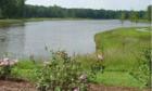 Great picture of the lake and jogging trails. 