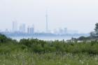 View from Humber Bay on a smoggy summer day (credit Anne de Haas, photographer)