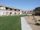 The common areas at Aspen Peak Condominiums in Henderson, NV are a mix of thick, green grass and desert landscaping.