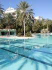 The pool at the JW Marriott Resort & Spa offers lush landscaping and a cool escape from hot desert temperatures.