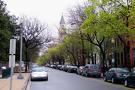 Steps from the Capitol and with excellent METRO service, Capitol Hill re-emerged in the 1990's as one of Washington's chic neighborhoods.