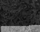 Aerial photo of Greater Beyersville, TX - Click on photo to see entire image