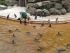 Baltimore Zoo
