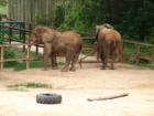 Baltimore Zoo