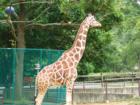 Baltimore Zoo