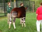 Baltimore Zoo