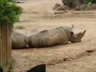 Baltimore Zoo