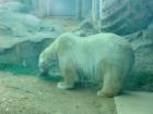 Baltimore Zoo