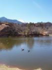 Red Rocks Open Space Pond