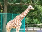 Baltimore Zoo