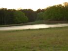 Sandy Creek