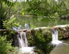 Bull Creek