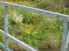 Bridge over Etobicoke Creek, many of which have seen upgrades over the past year