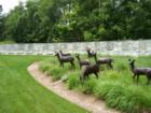 Welcome home to The Woodlands, TX!  