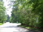 Yes, this is actually a street with homes! Behind the trees of course!