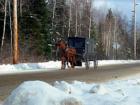 Amish Has A Settlement In Smyrna...Heading Up The Ludlow Road Less Traveled Than US Rt 2!