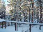 Day after one of our snowstorms 06