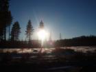 Sun falls behind the tree on one of our famous Lake Tahoe Sunsets...