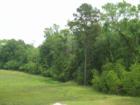 Village of Creekside Park will have a theme of Parks, Ponds and lots of Greenspace!
