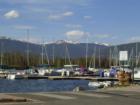 The Frisco Marina is a busy place in the summer.