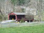Just outside of Lewistown and Frederick lies a small town of Utica.  This bridge was built in 1850 originally across the Monacacy River, but was washed away and reconstructed over Fishing Creek in 1889. 