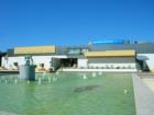 Tampa Museum of Art