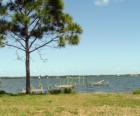 Rockledge Drive