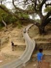 The Cement Slide at Codornices Park
      
      http://www.yelp.com/biz/iJfX37v-V4FtSX4SdckheA