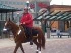 Mounted Patrol is a common sight in Town Center. Smile!