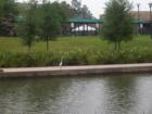 If you enlarge this photo you will see natural wildlife at its' best on The Waterway! We got to see it dive in for its' evening snack!