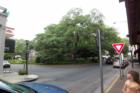 A view of Reynolds Square