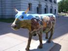 More cows contribute to the sweet dairy air of Wisconsin