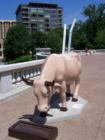 See - I told you that's how they get chocolate milk in Wisconsin!