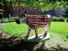 A bucky Fan Cow