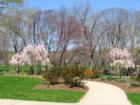 Twin Brooks Park walkway(White Plains Rd)