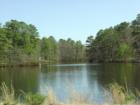 Mimosa Lake